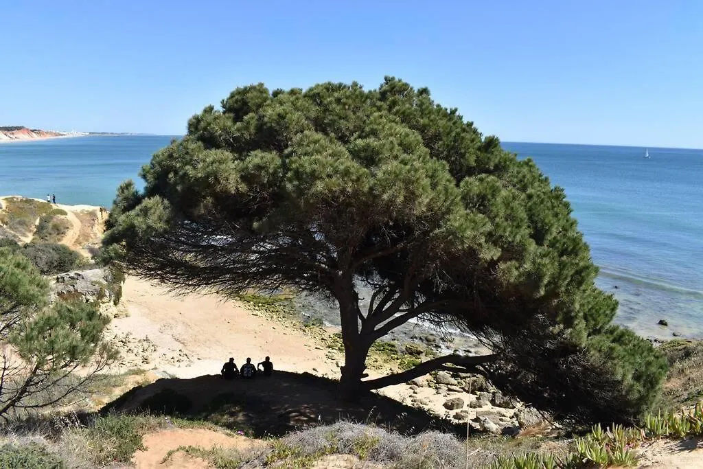 Apartamento Varanda Para O Mar Albufeira